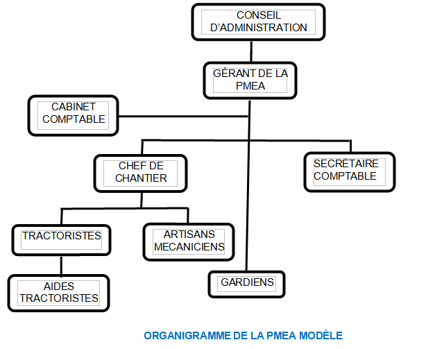 Organigramme PMEA modele