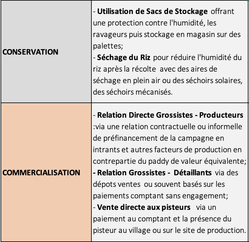Techno Commercialisation Conservation - Riz