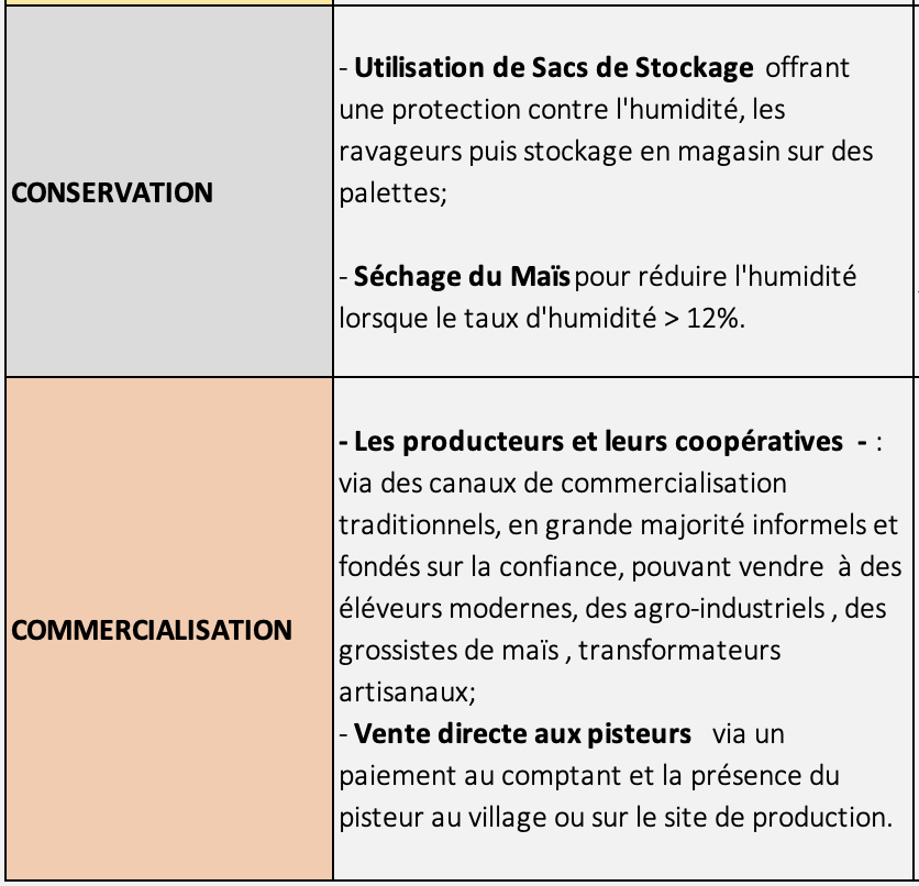 Techno Commercialisation Conservation - Maïs